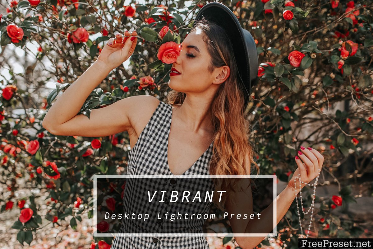 Desktop Lightroom Preset VIBRANT 3622962