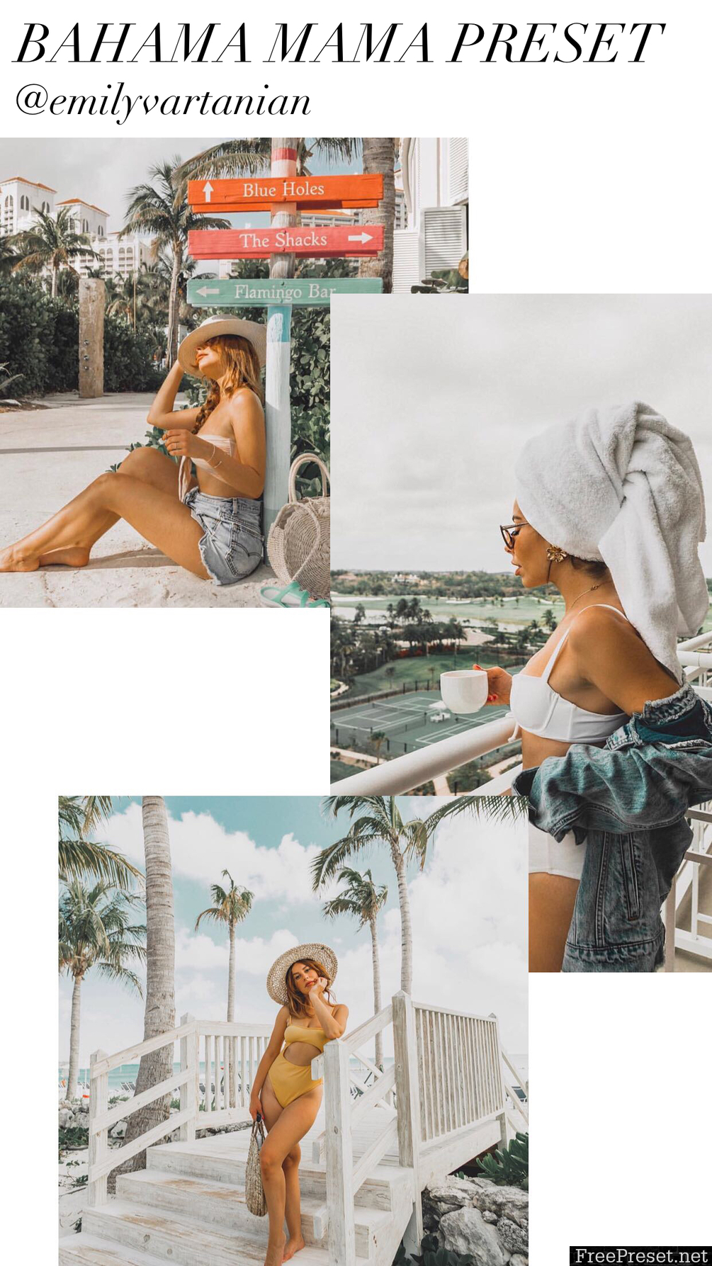 Emily Vartanian - Bahama Mama Preset Pack