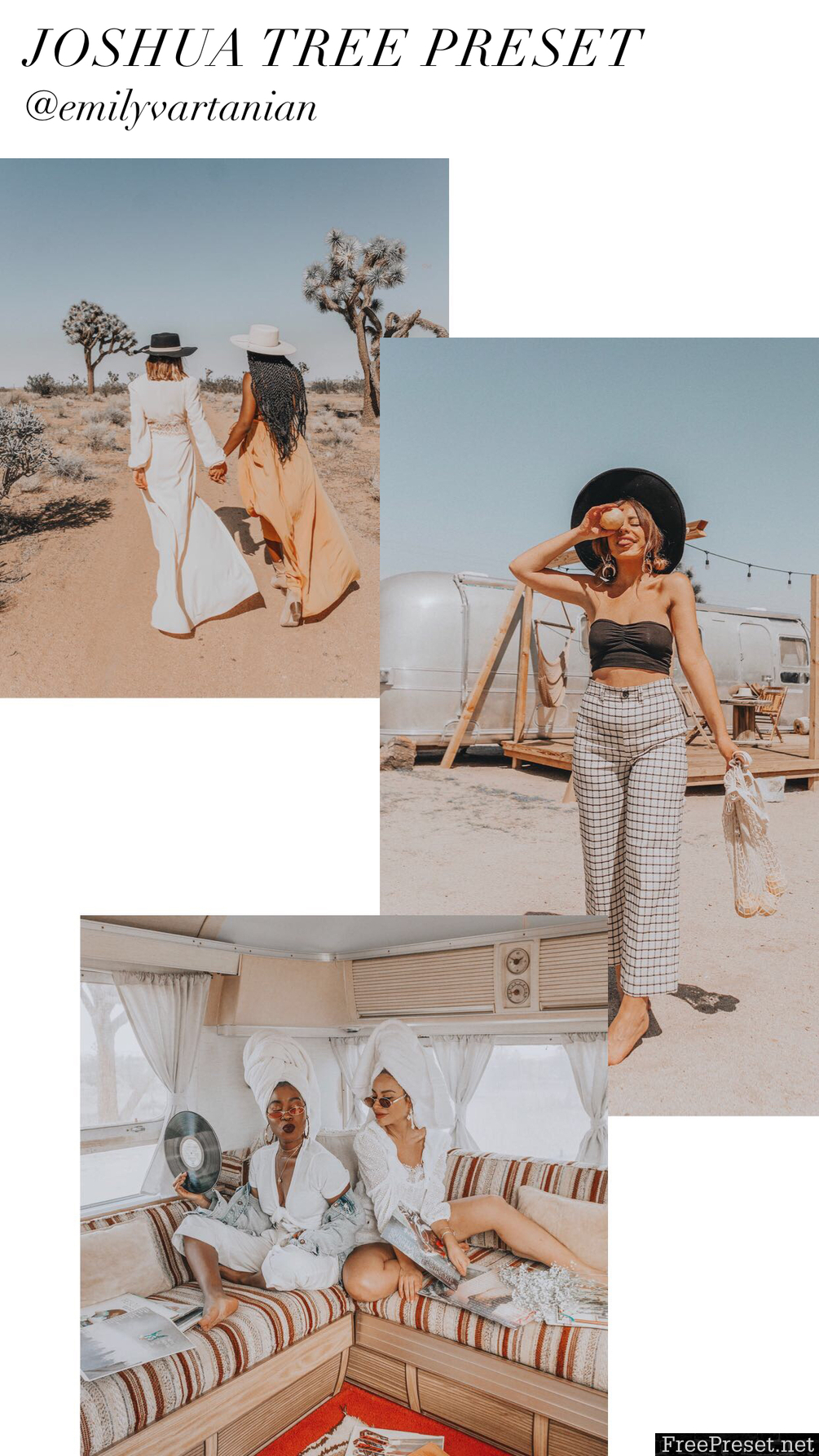 Emily Vartanian - Joshua Tree Preset