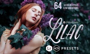 Lilac - 17 Toning Lightroom Presets 278633