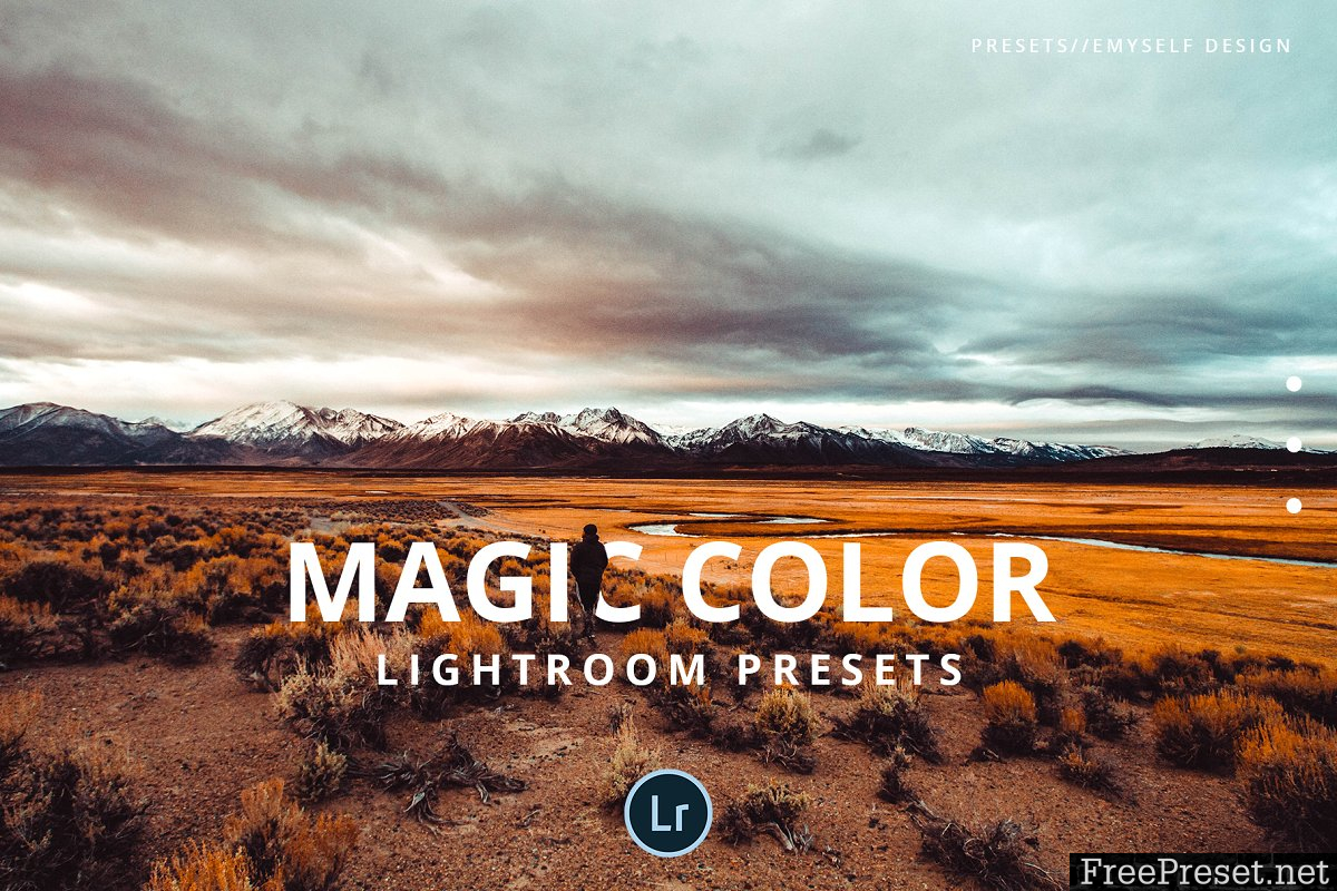 Magic Color Lightroom preset 2551833