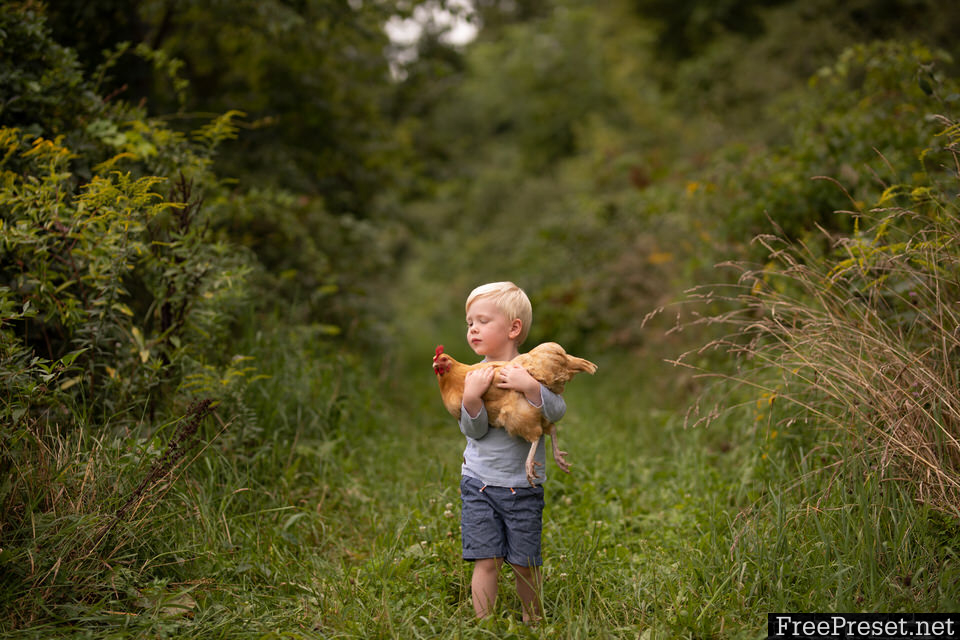 Meridian Presets - Meg Loeks – Solstice Lightroom & ACR Presets