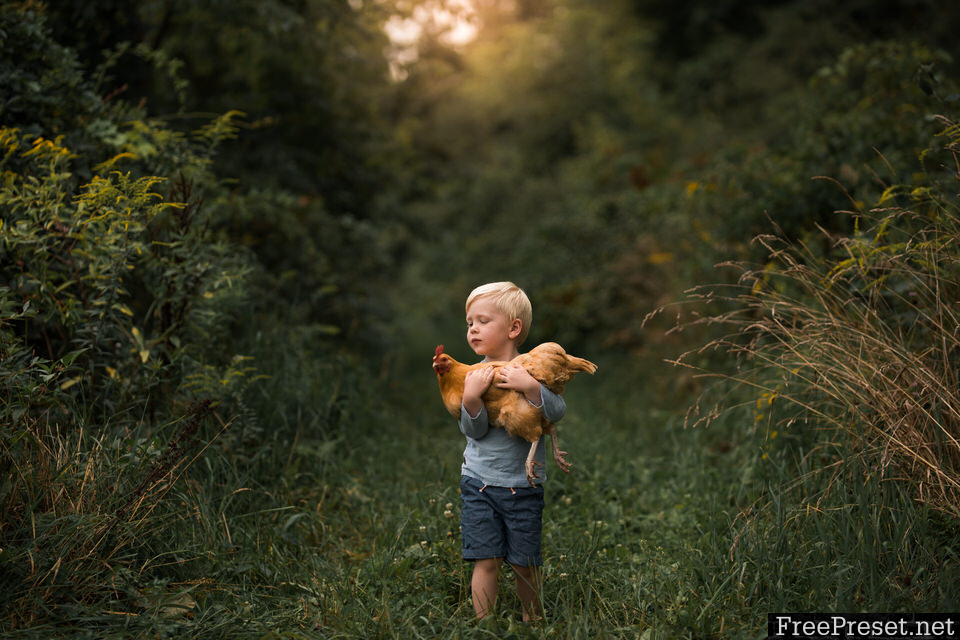 Meridian Presets - Meg Loeks – Solstice Lightroom & ACR Presets