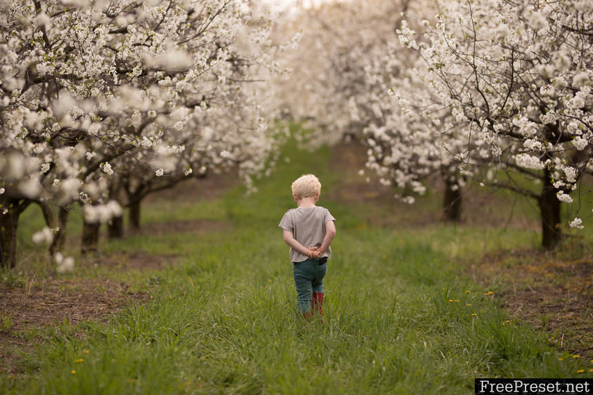 Meridian Presets - Meg Loeks – Solstice Lightroom & ACR Presets