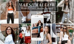 Mobile Lightroom Preset for Bloggers 3472020