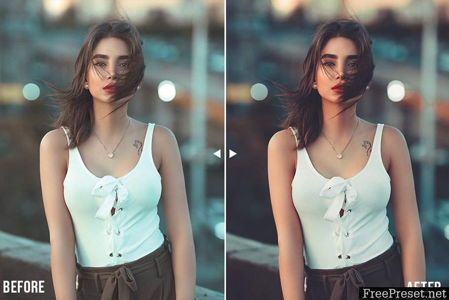 Moody Lightroom Presets And Mobile 3711825