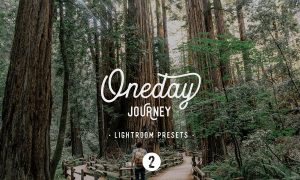 Oneday Journey 2 Lightroom presets 2166797