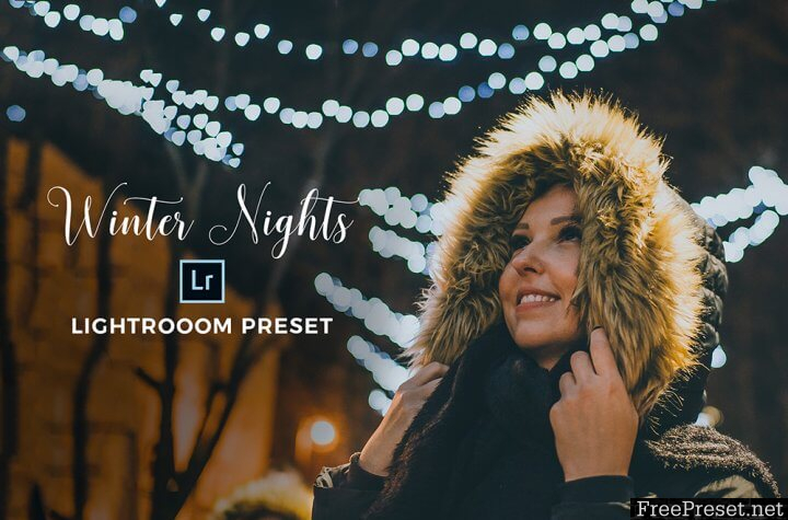 Sandrastipan - Winter Nights Lightroom Preset – Desktop + Mobile