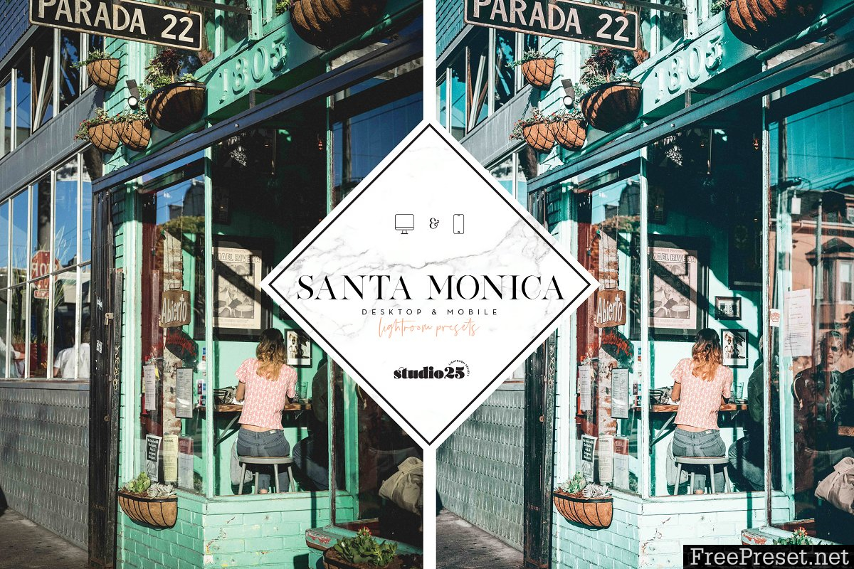 Santa Monica Summer Lightroom Preset 3713835