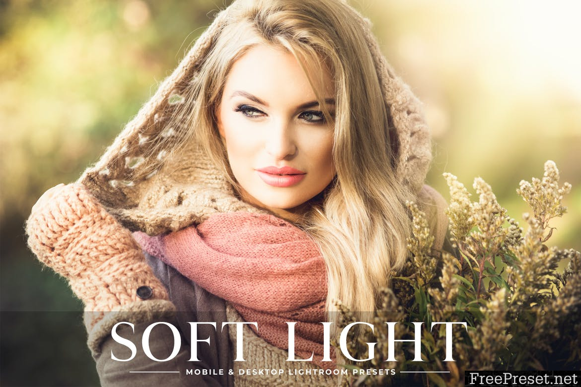 Soft Light Mobile & Desktop Lightroom Presets MS8N52K