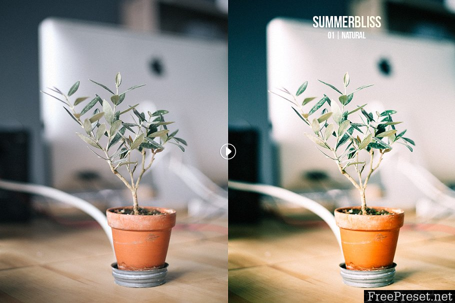 Summerbliss Lightroom Presets  773119