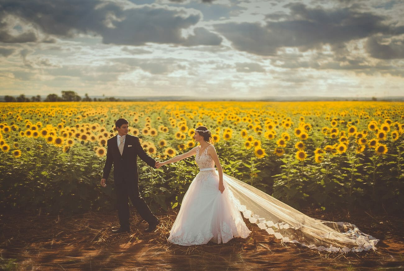 A bride and groom walk across and in front of a sunflower field, hand in hand