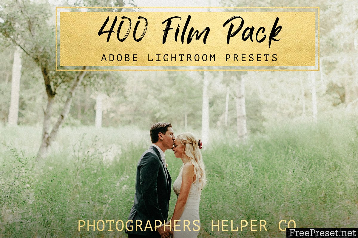 400 Film LR Preset Pack 2379908