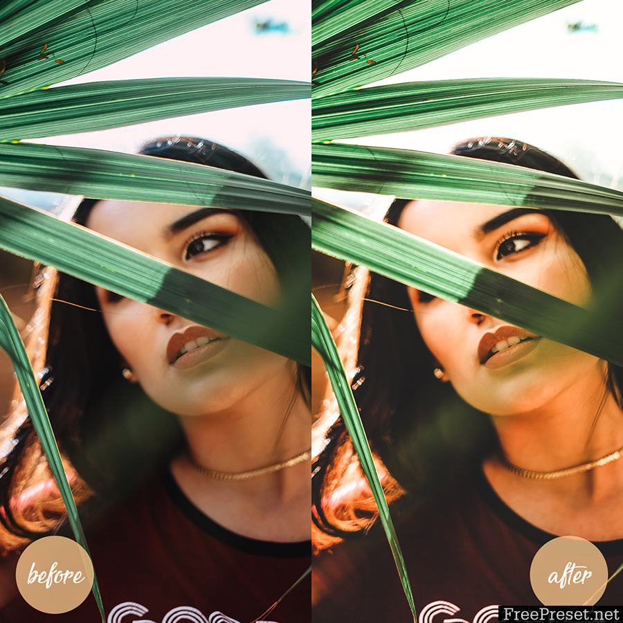 5 Mobile and Desktop Lightroom Presets Lemon 23856162