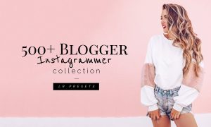 500+ Blogger Instagrammer LR Presets 1552610