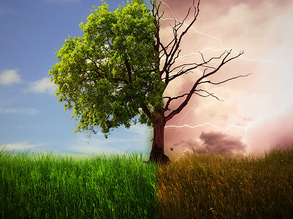 Create a dramatic tree manipulation in Adobe Photoshop