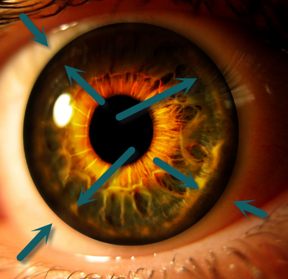 Create an Eerie Eye Photo Manipulation 9