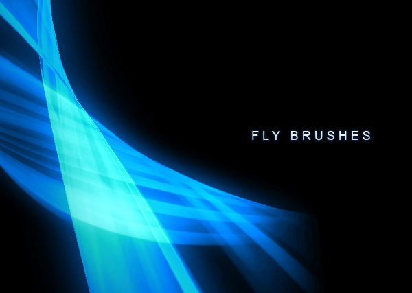 Fly Brushes