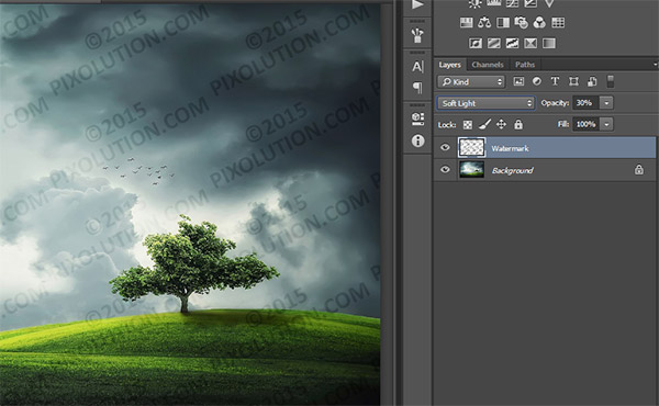 Add a Watermark Sign to any Photo in Photoshop 10