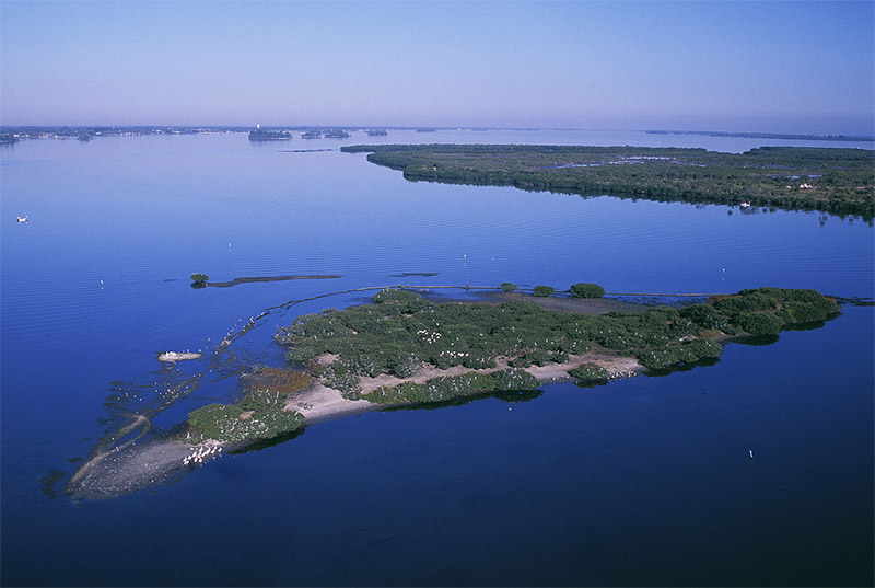 Pelican Island