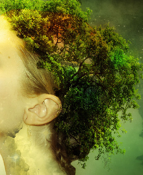 Create a fantasy nature photo manipulation 17