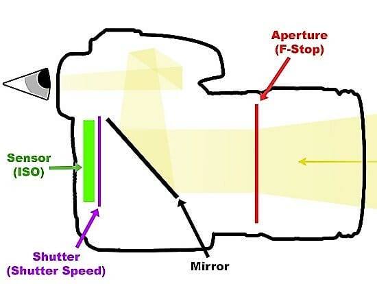 How a DSLR camera works schematic