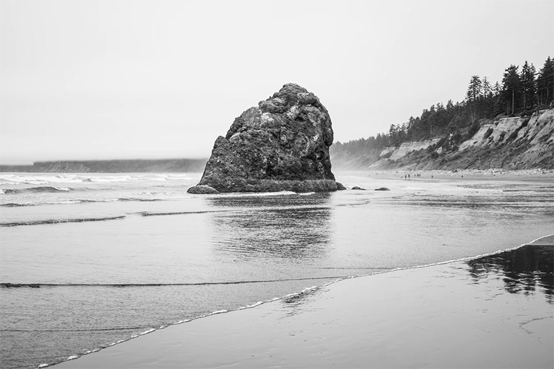 Olympic National Park by Ryan Stone / Unsplash License