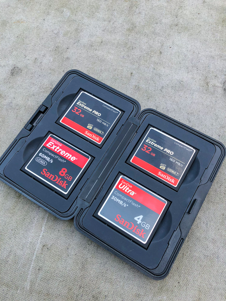 memory cards in a protective case