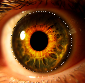 Create an Eerie Eye Photo Manipulation 8