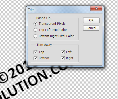 Add a Watermark Sign to any Photo in Photoshop 6