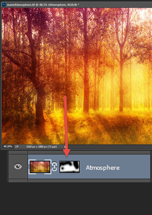 Add a warm atmosphere effect to a forest image 9