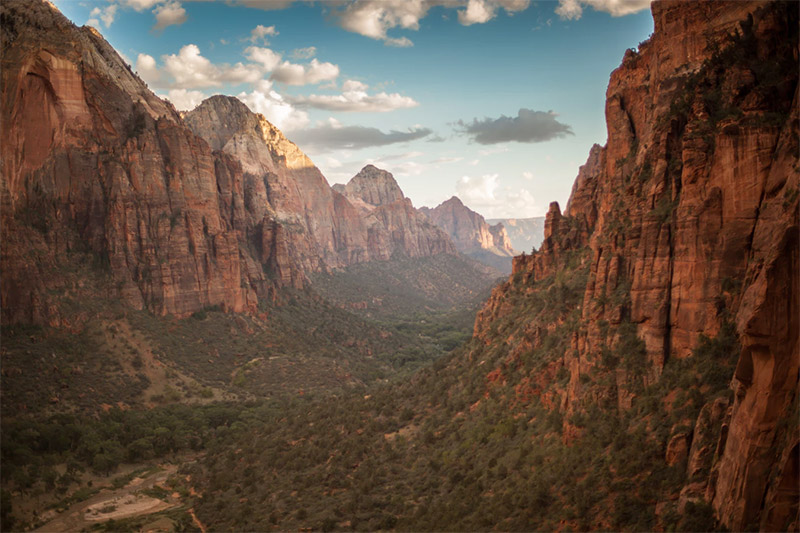 Zion National Park by Jamie Hagan