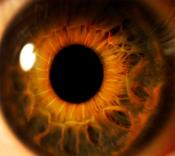 Create an Eerie Eye Photo Manipulation 4