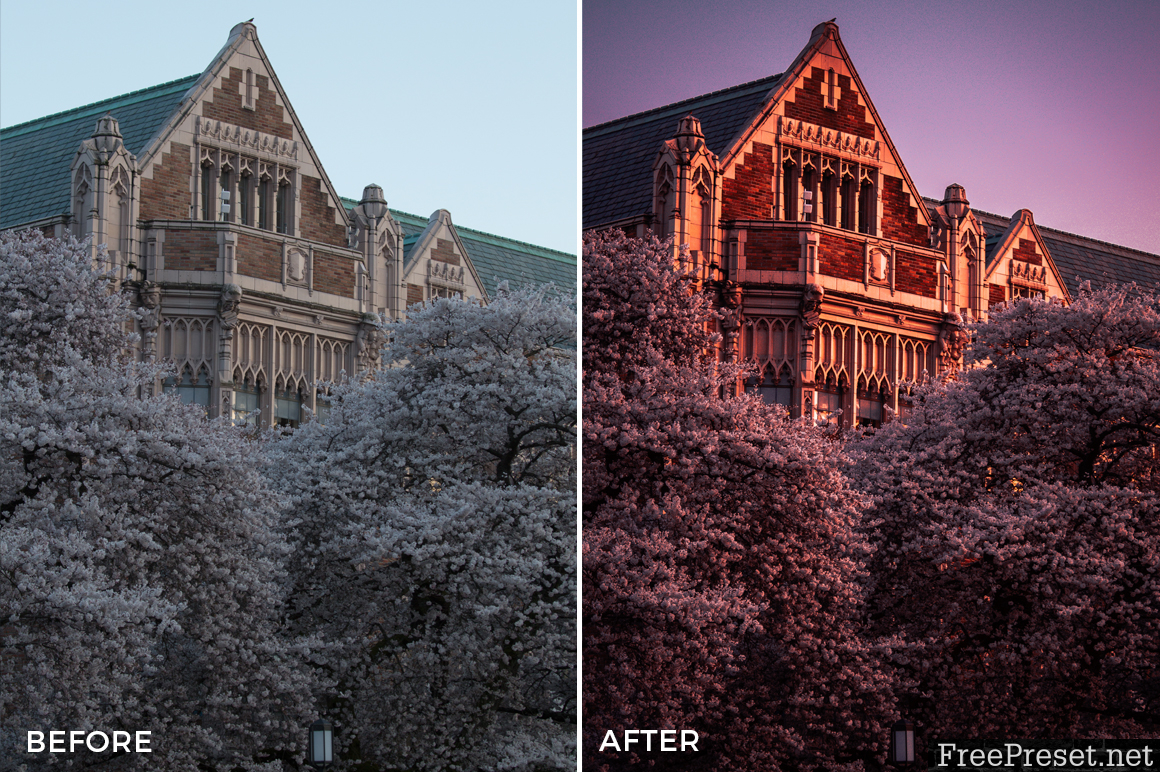 Alexander Zhuk Spring & Sakura Lightroom Presets