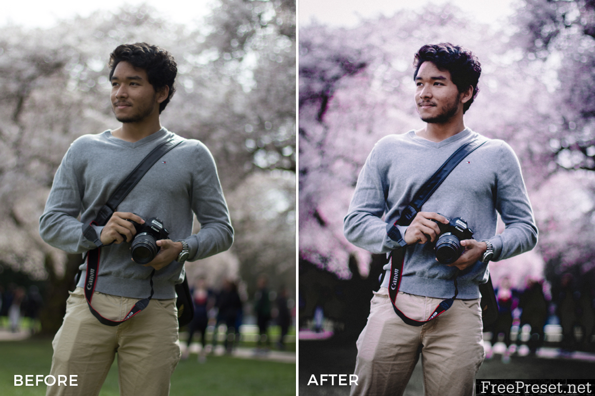 Alexander Zhuk Spring & Sakura Lightroom Presets