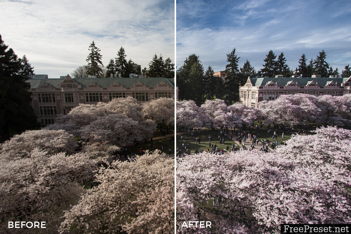 Alexander Zhuk Spring & Sakura Lightroom Presets