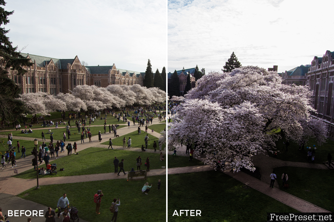 Alexander Zhuk Spring & Sakura Lightroom Presets