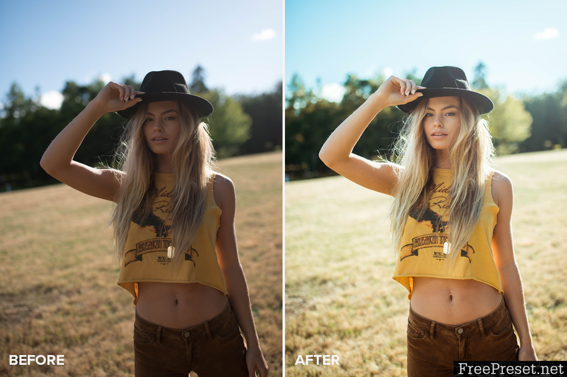 Allegra Messina Lightroom Presets