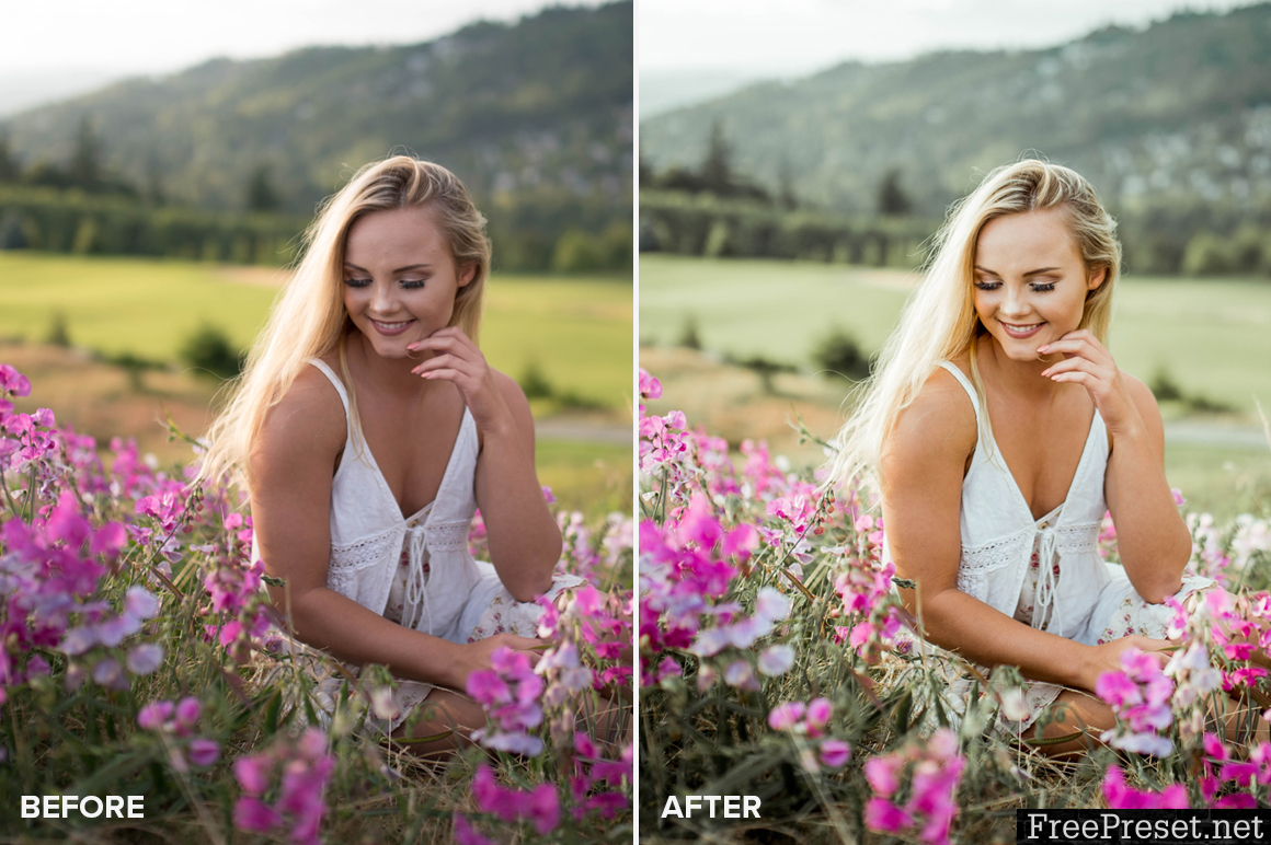 Allegra Messina Lightroom Presets