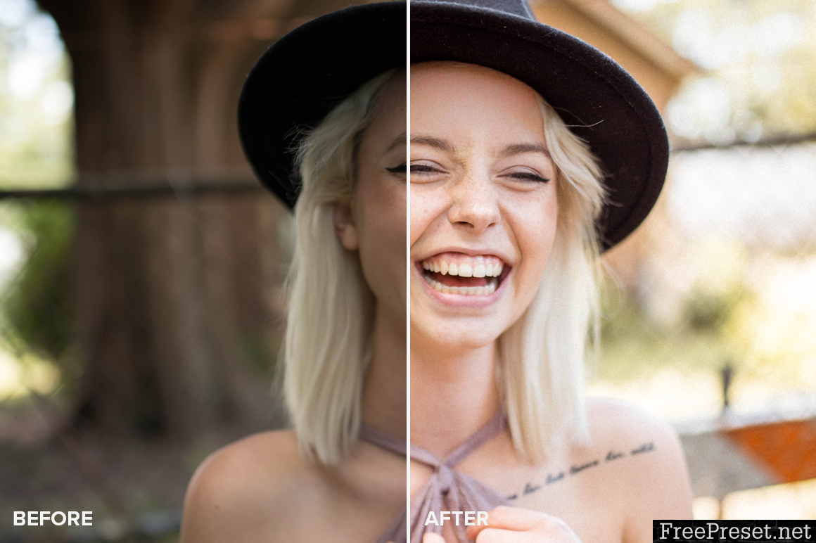 Allegra Messina Lightroom Presets