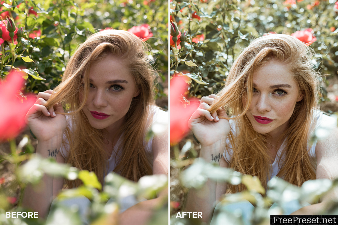 Allegra Messina Lightroom Presets