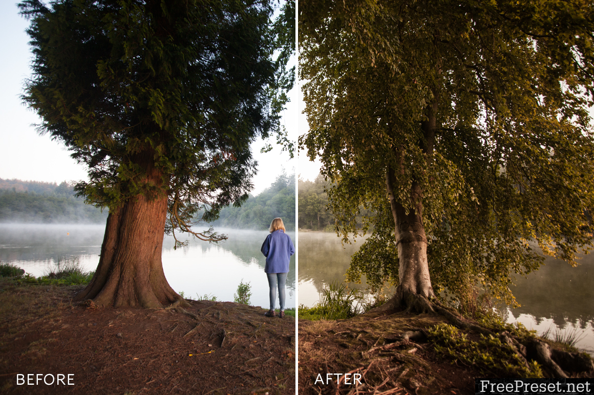 Amelia Le Brun Lightroom Presets