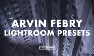 Arvin Febry Lightroom Presets
