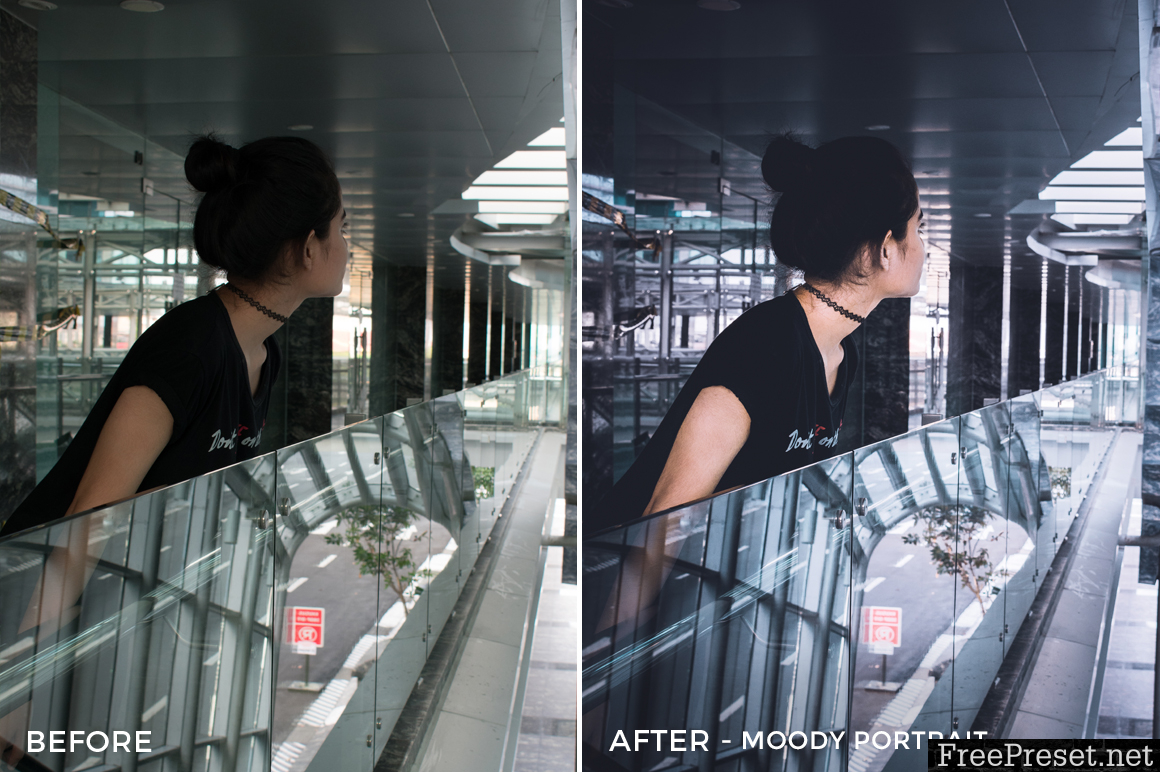 Arvin Febry Lightroom Presets