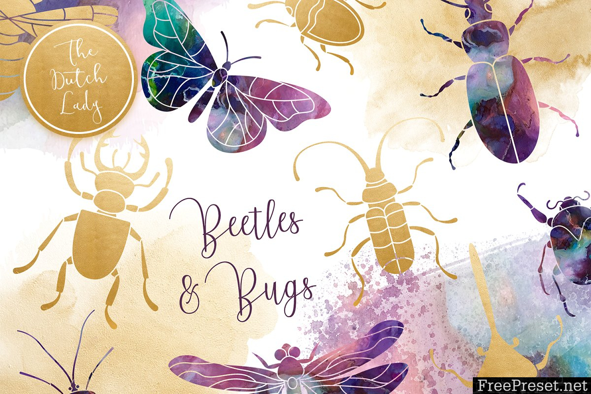 Beetles & Bugs Clipart Set 3495876