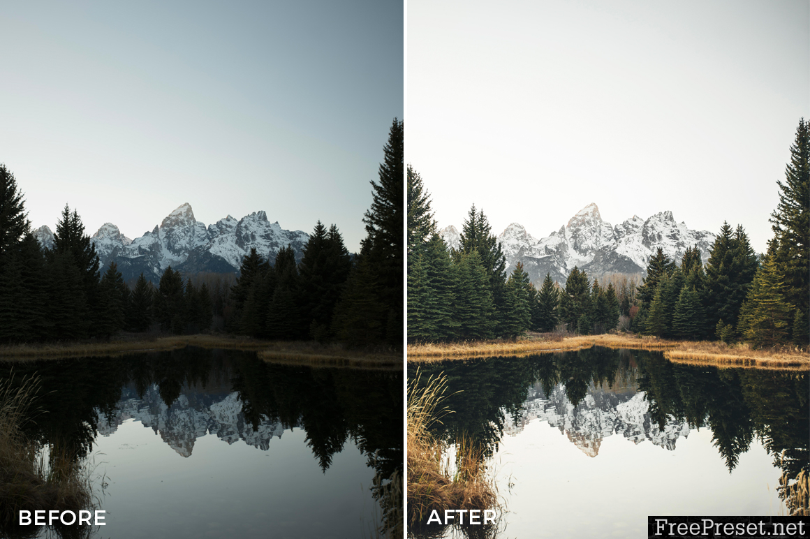 Cas Sheridan Lightroom Presets