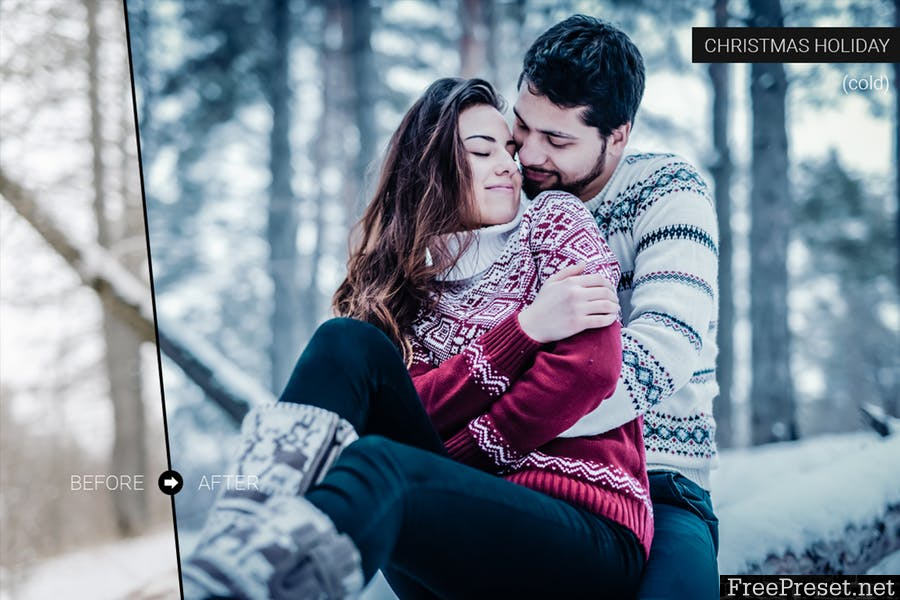 Christmas Holiday Lightroom Presets 774PWX