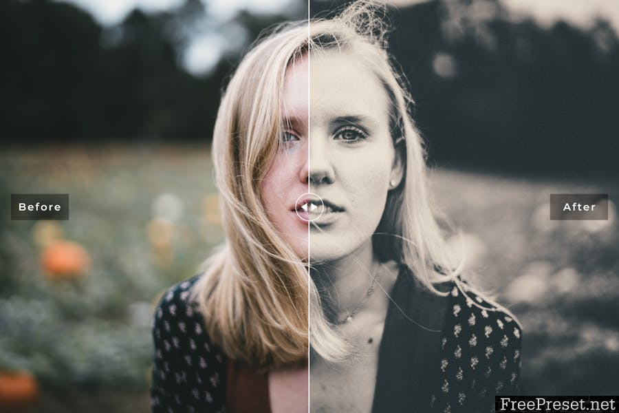 Coated Matte Mobile & Desktop Lightroom Presets