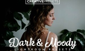 Dark And Moody Lightroom presets