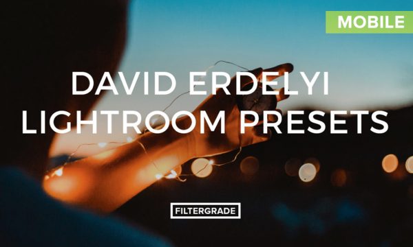 David Erdelyi Lightroom Mobile Presets
